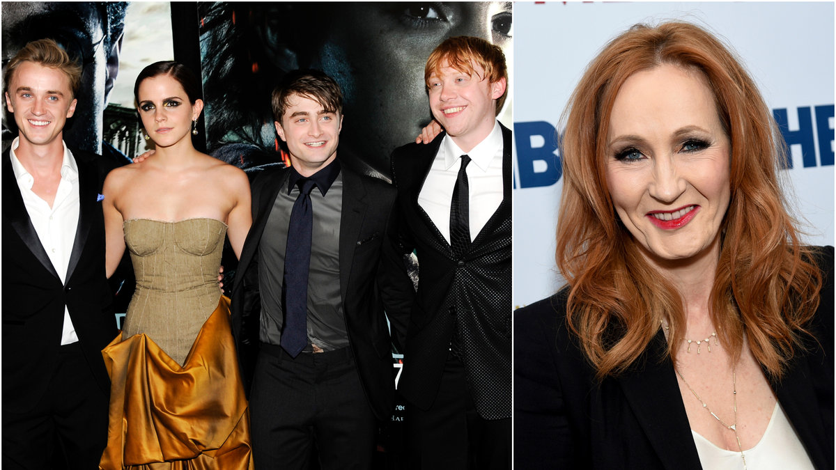 Produktionsbolaget Warner Bros vill göra en ny serie om Harry Potter 